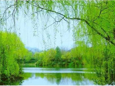 三月三怎么過？邁世帶您看三月三