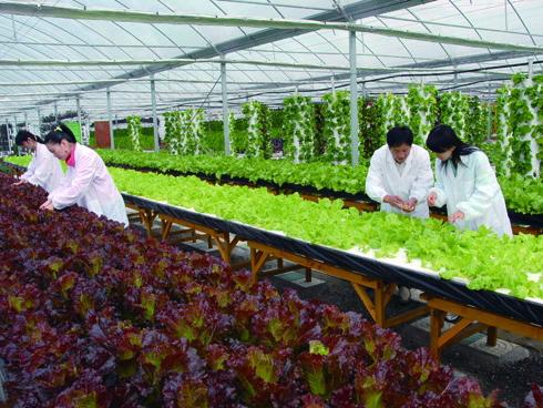 邁世努力促進(jìn)智慧農(nóng)業(yè)，實(shí)現(xiàn)新業(yè)態(tài)